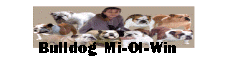 English bulldog kennel Mi-Ol-Win in Czech Republic